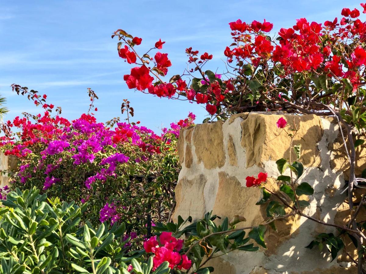 Apartament Casa Olina Bahia de Casares Zewnętrze zdjęcie