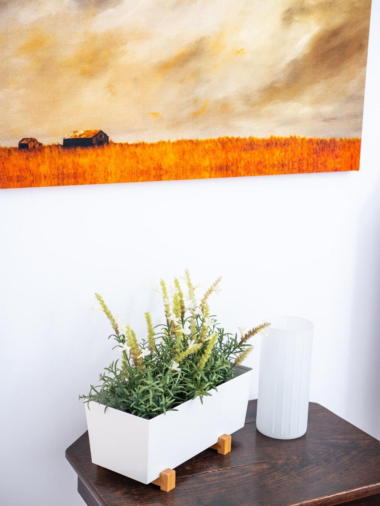 Apartament Casa Olina Bahia de Casares Pokój zdjęcie